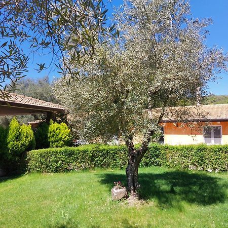Casa Vacanza Centro Sardegna Sorgono Luaran gambar