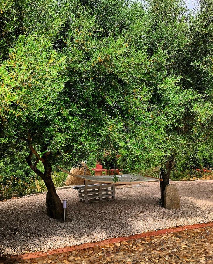 Casa Vacanza Centro Sardegna Sorgono Luaran gambar