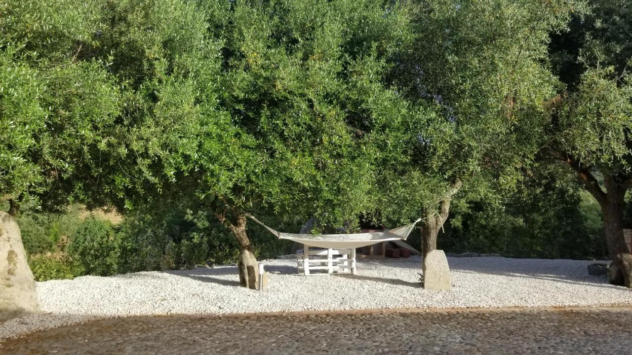 Casa Vacanza Centro Sardegna Sorgono Luaran gambar