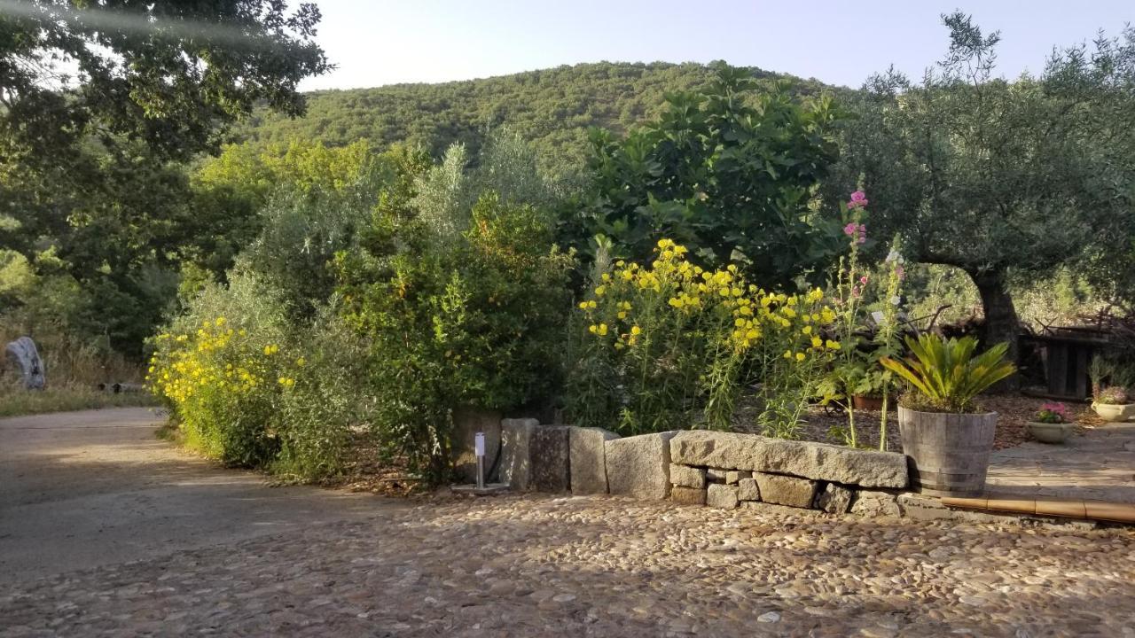 Casa Vacanza Centro Sardegna Sorgono Luaran gambar