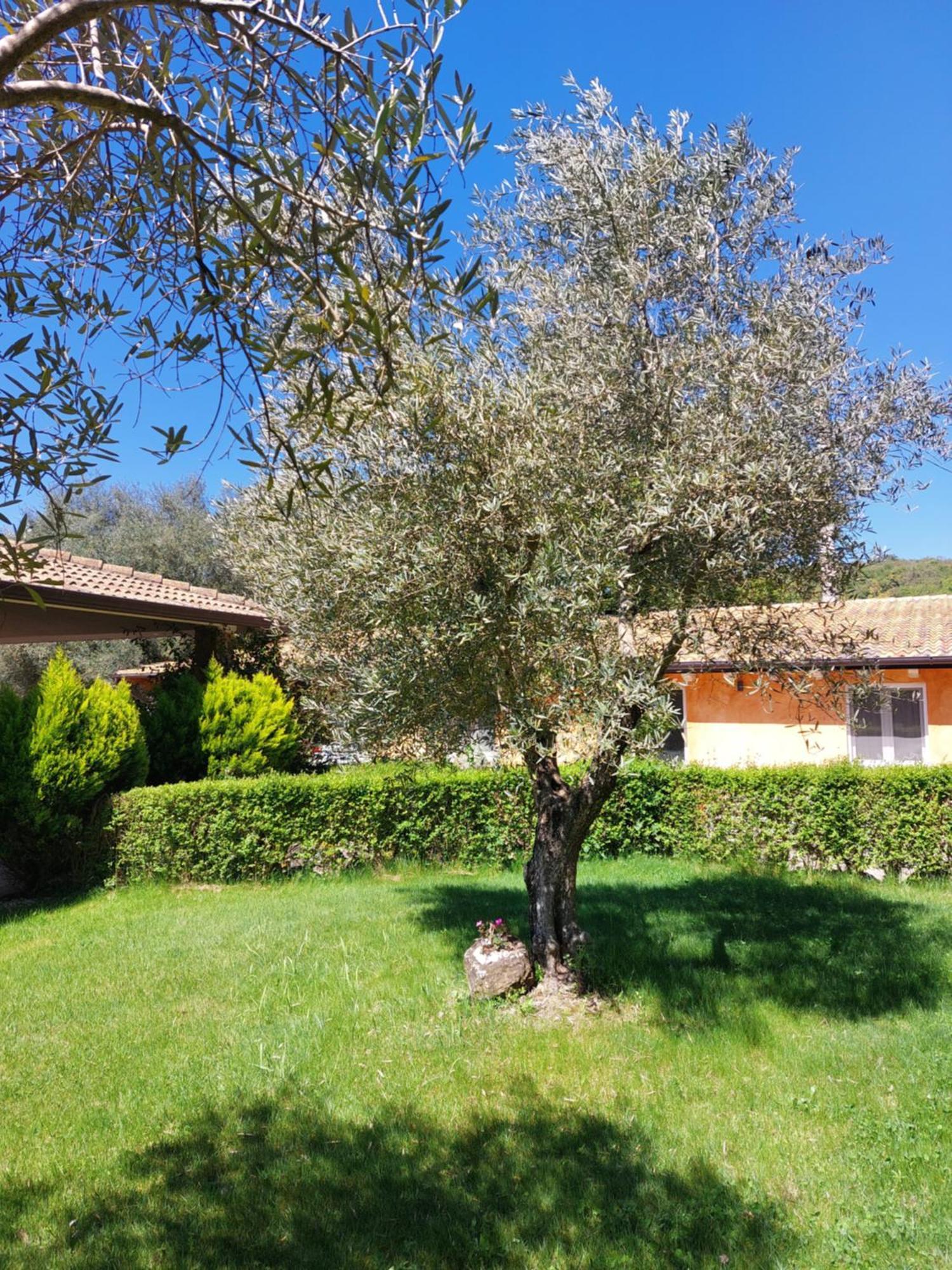 Casa Vacanza Centro Sardegna Sorgono Luaran gambar