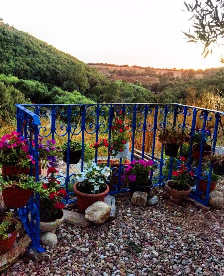 Casa Vacanza Centro Sardegna Sorgono Luaran gambar