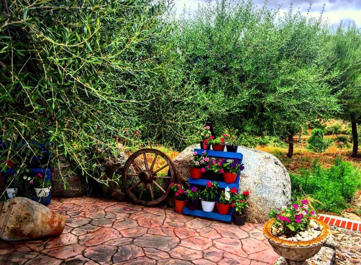 Casa Vacanza Centro Sardegna Sorgono Luaran gambar